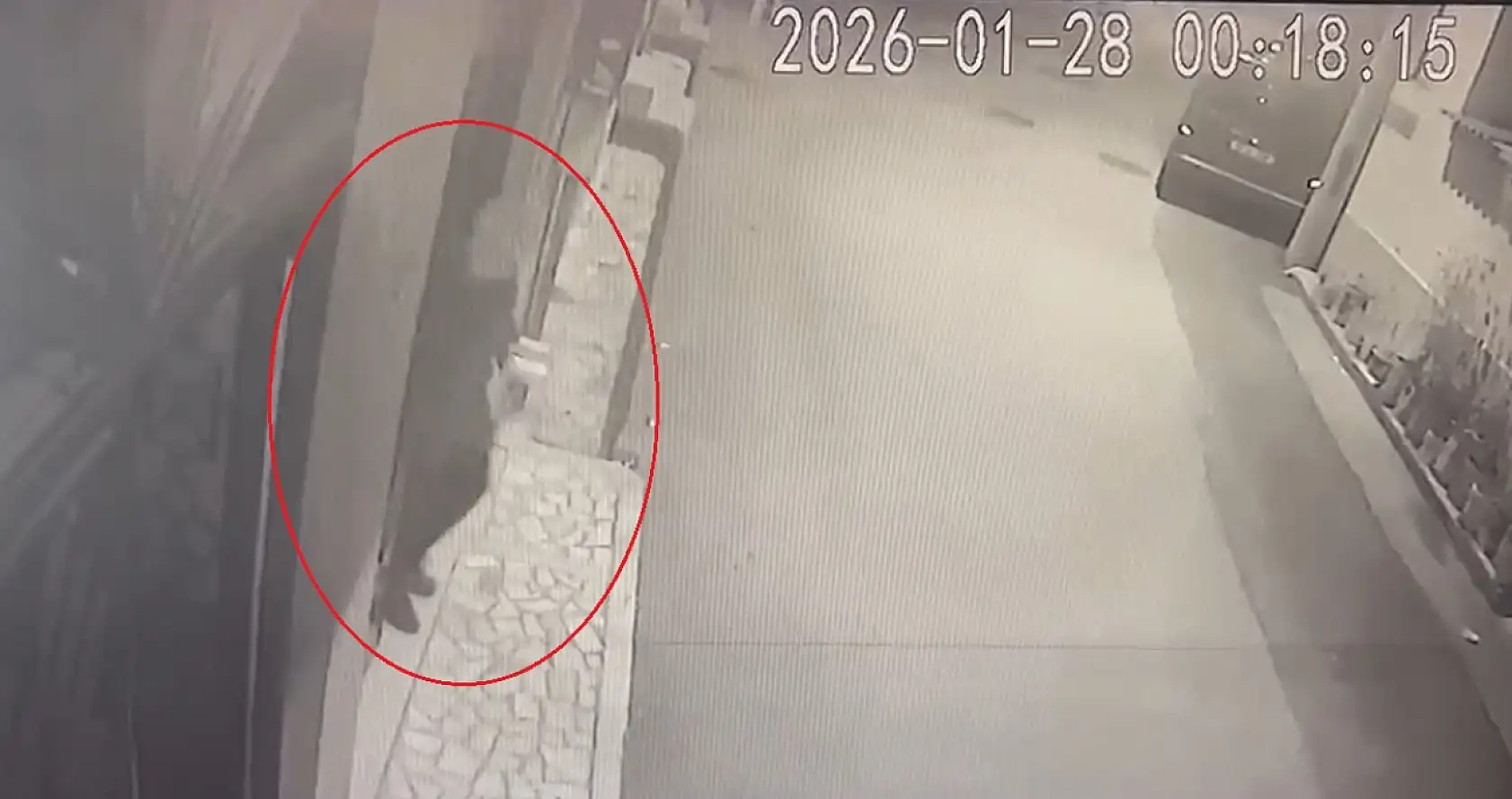 Eski polisin kayıp dosyasındaki korkunç detay: Katiliyle aynı yastığa baş koymuş!