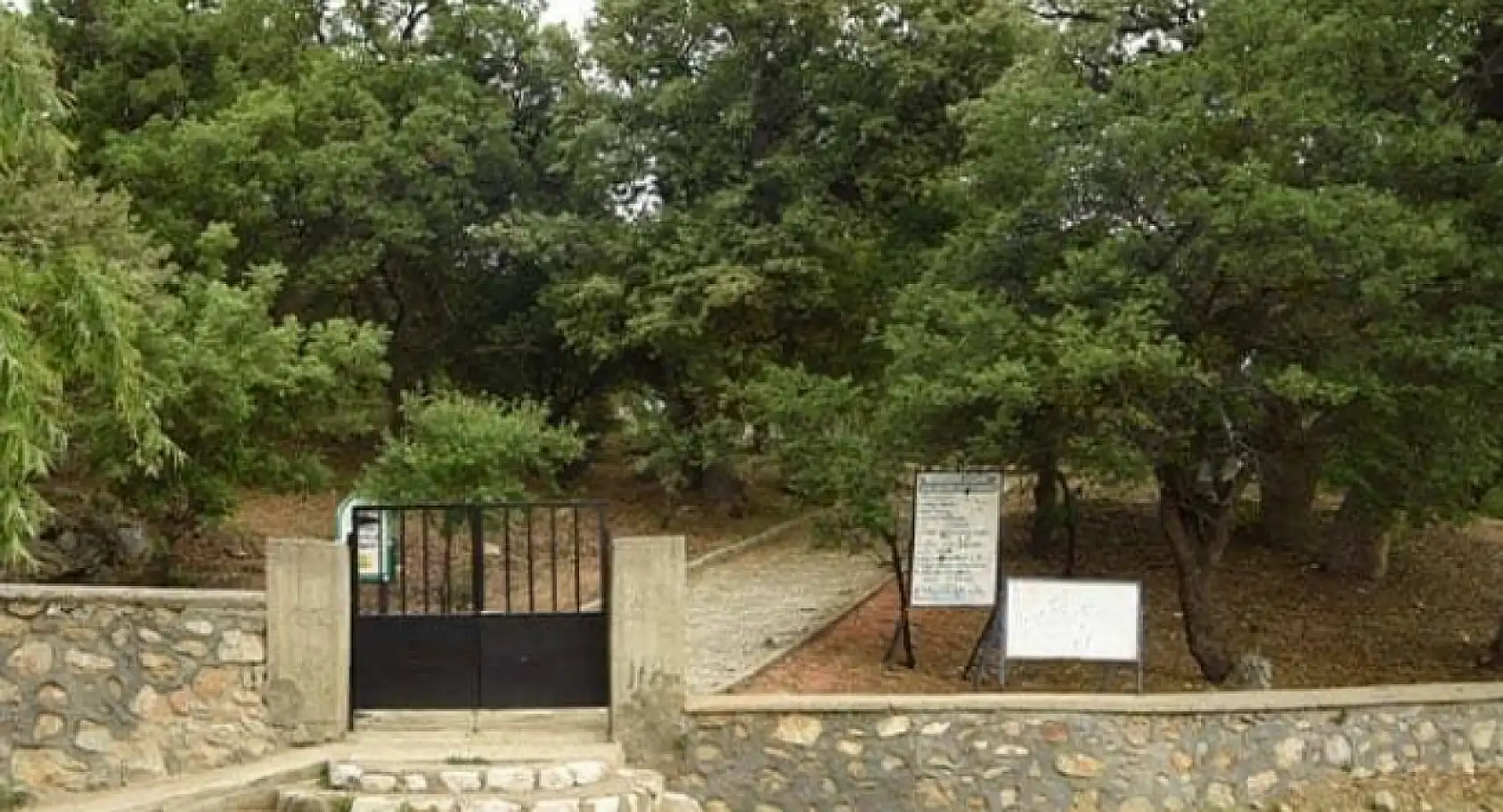 Konya'da yolu geçenler ve şifa arayanların ilk durağı o adres oluyor!