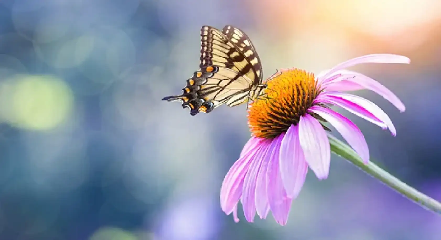 8 Mart Dünya Emekçi Kadınlar Günü mesajları, Kadınlar Günü 2025 kutlama sözleri...