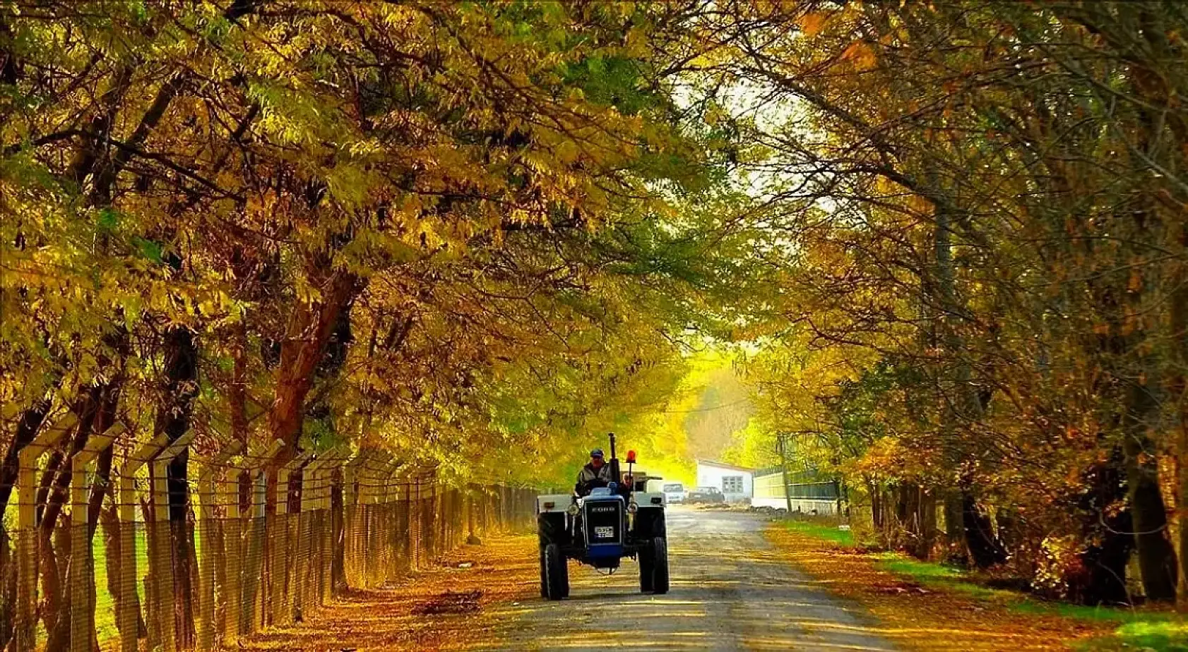 Konya'da aralarında: Türkiye'nin en zeki şehirlerin sıralaması belli oldu!