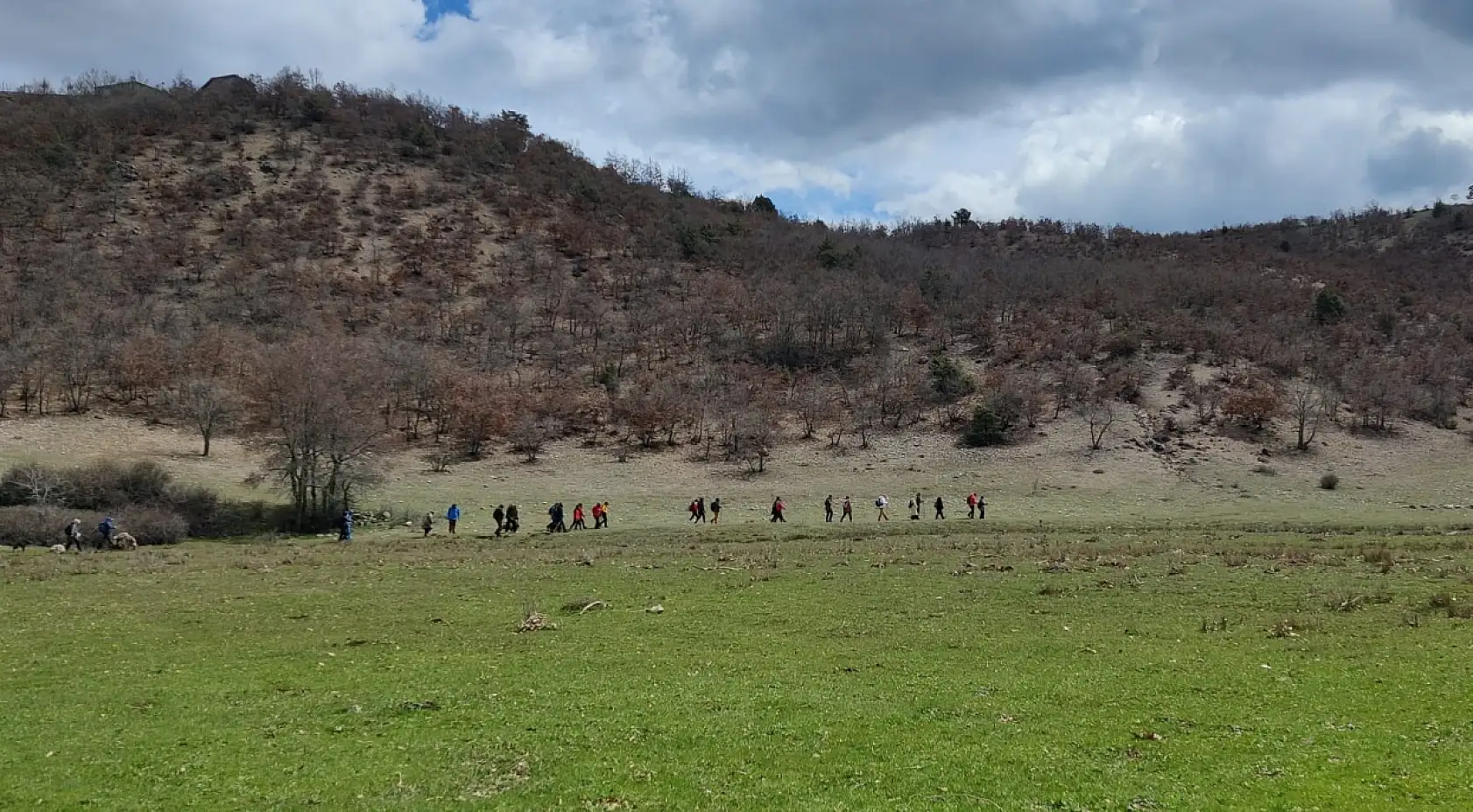 Konya'da doğaseverlerden büyük keşif: 10 yıl rotada ilk defa görüldü