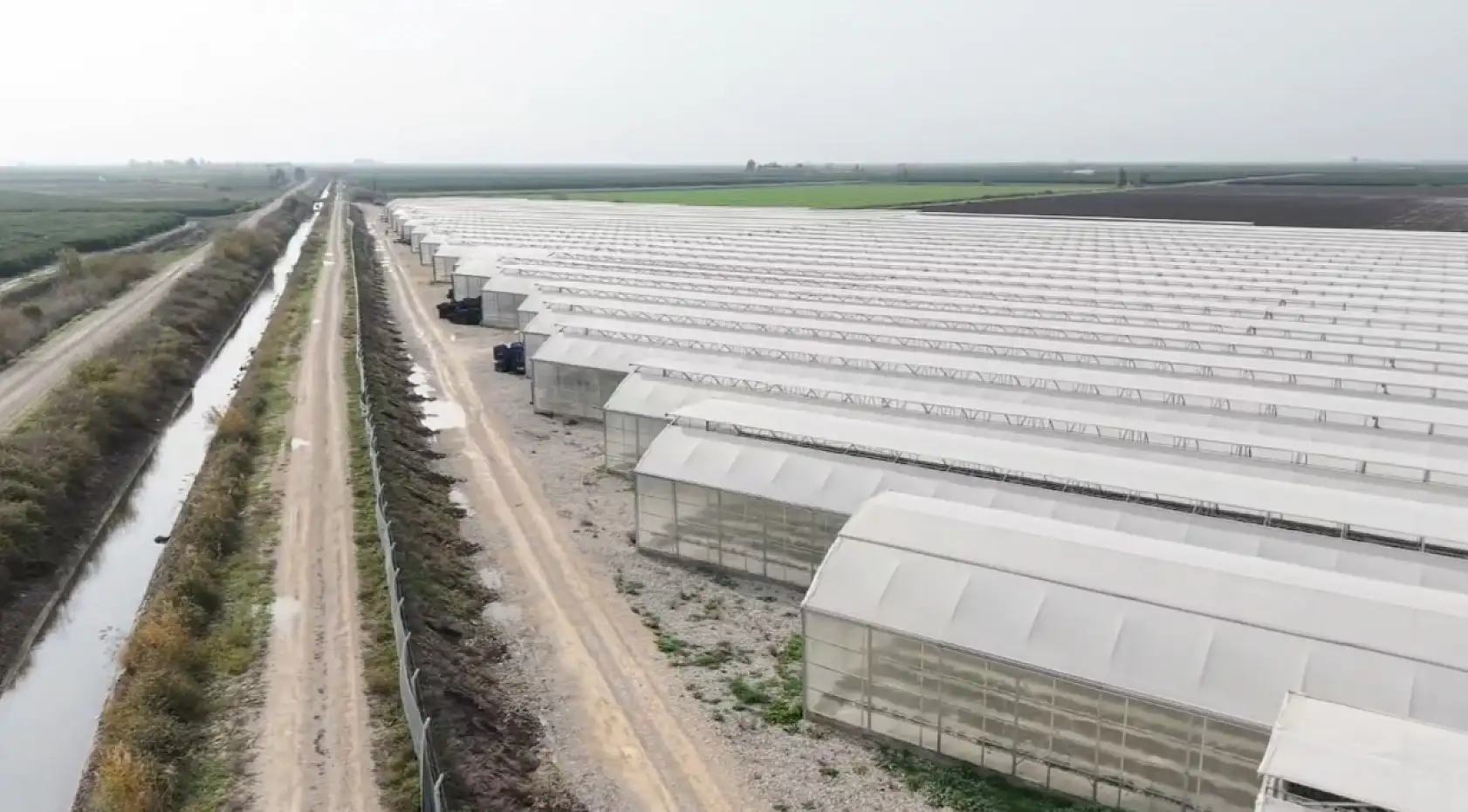 Yapay zeka tarlaya girdi: Dronlarla üretilip dünyaya satılıyor