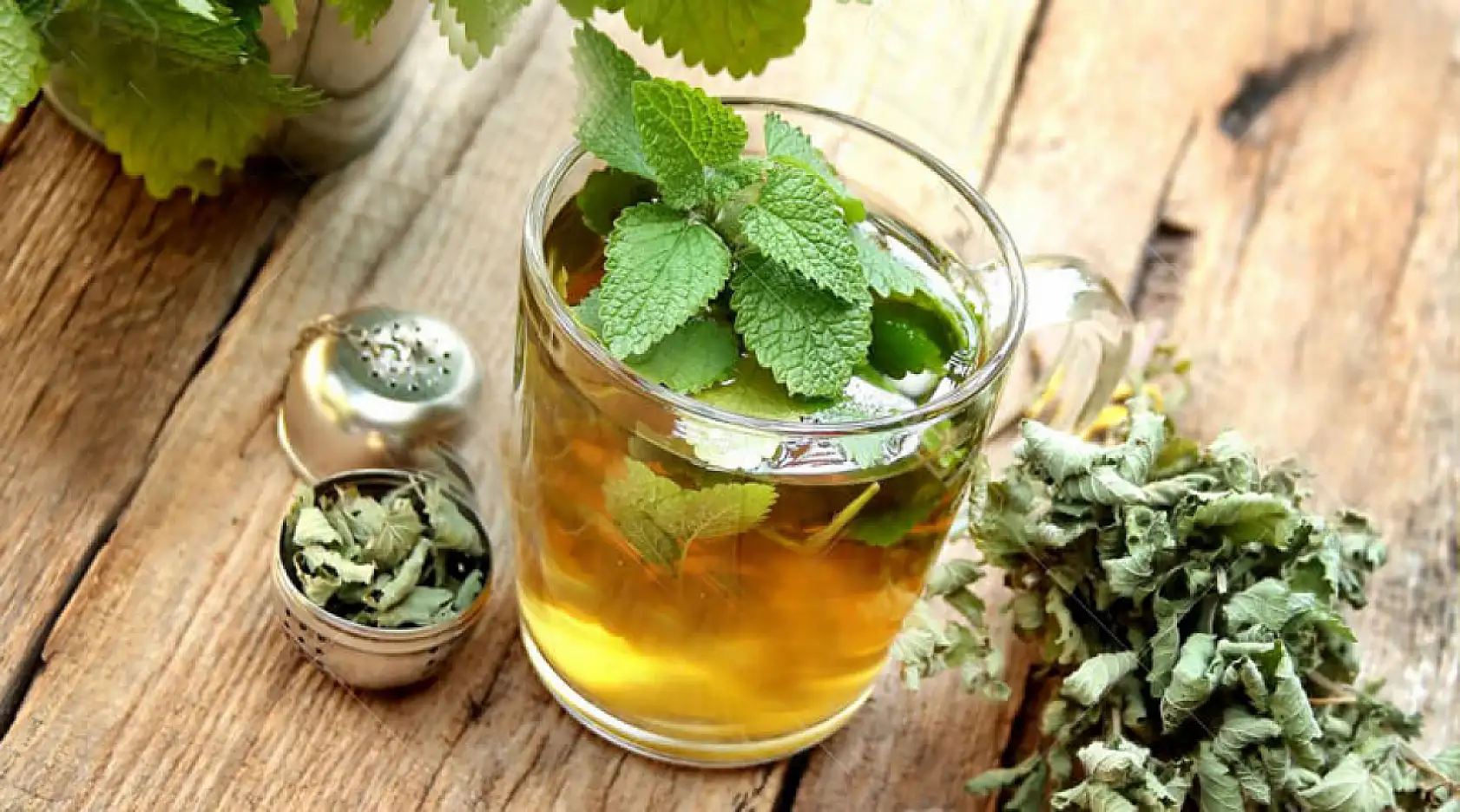 Kış mevsiminin şifa deposu