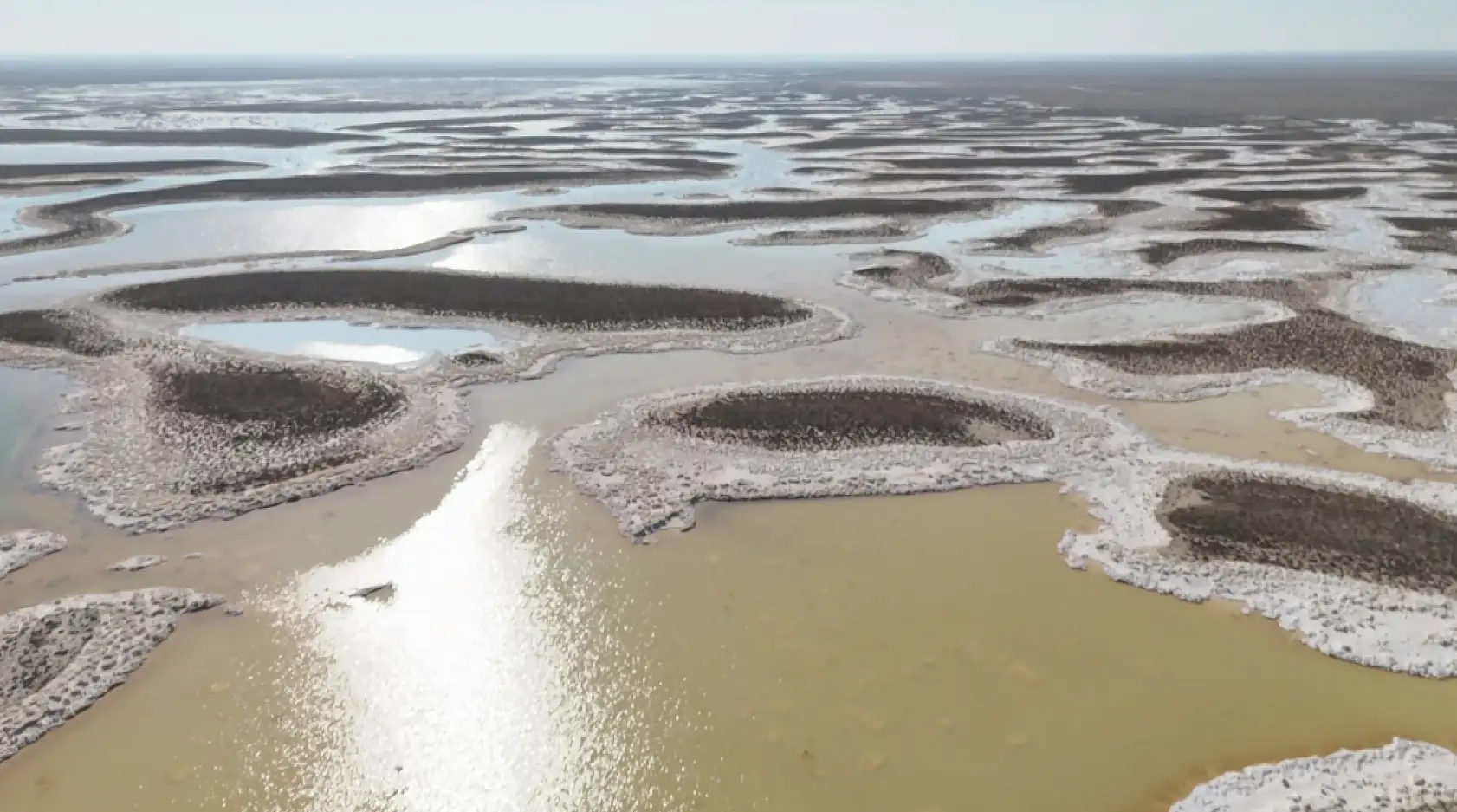 Flamingo cenneti alarm veriyor: Bu sefer pembe misafirleri gelmedi