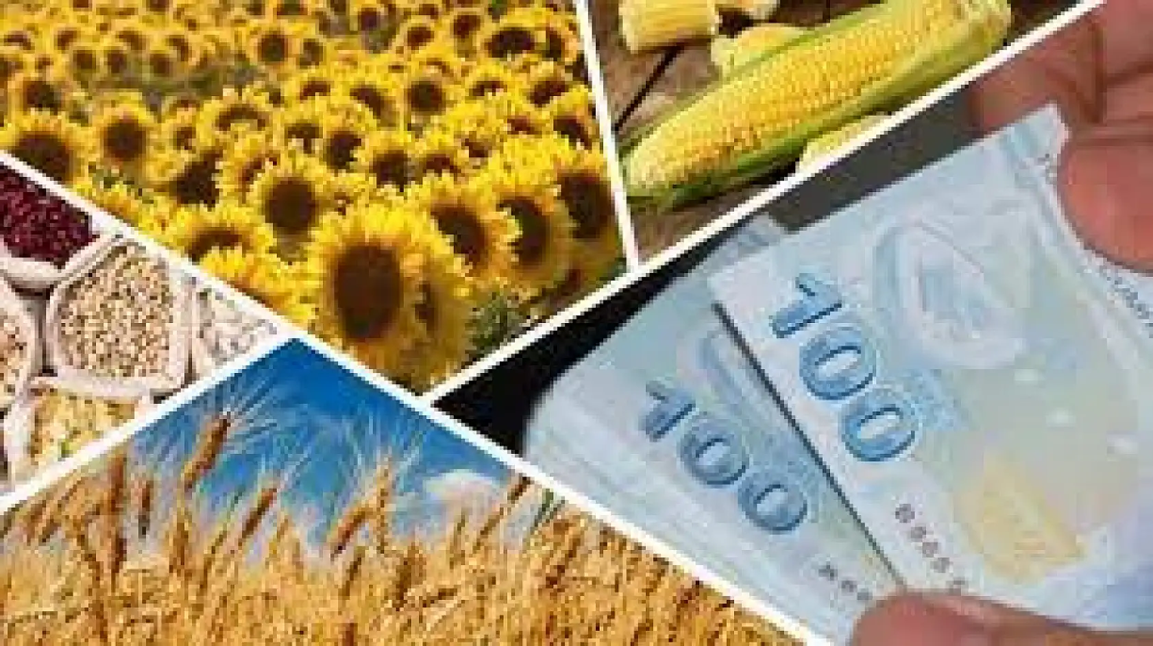 Bakan açıkladı: o destekler bu tarihe kadar yatacak