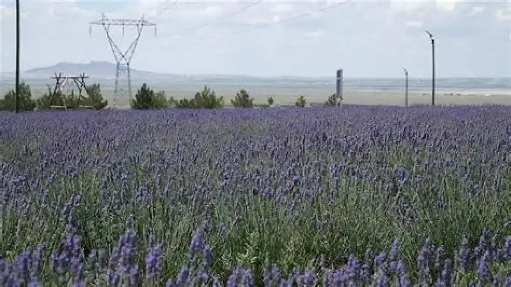 Konya'da yaşayıp da bunları bilmiyorsanız şaşıracaksınız! İşte en ilginç 10 bilgi