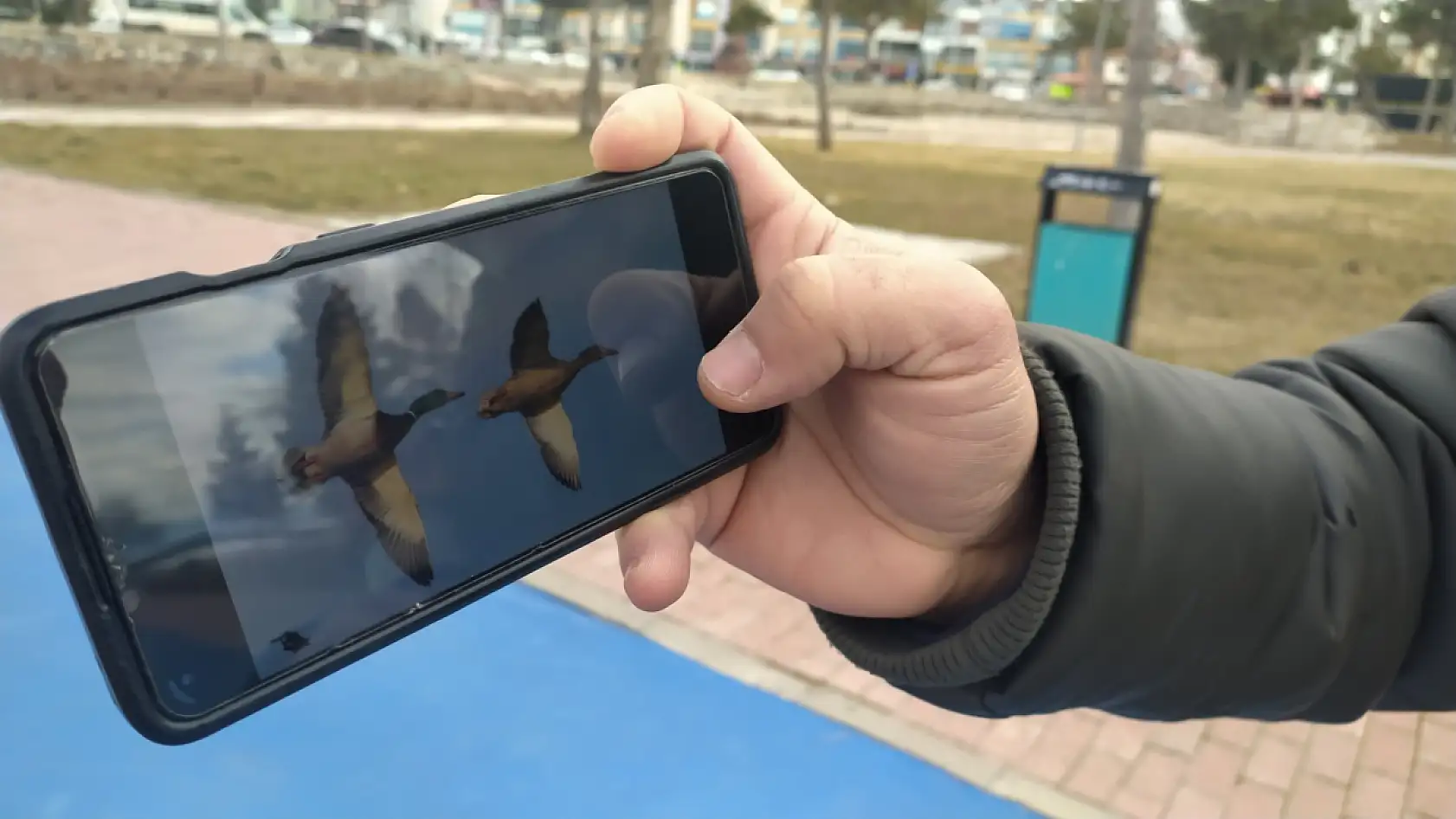 Astsubaylıktan kuş fotoğrafçılığına: Konya'da bir doğa hikayesi