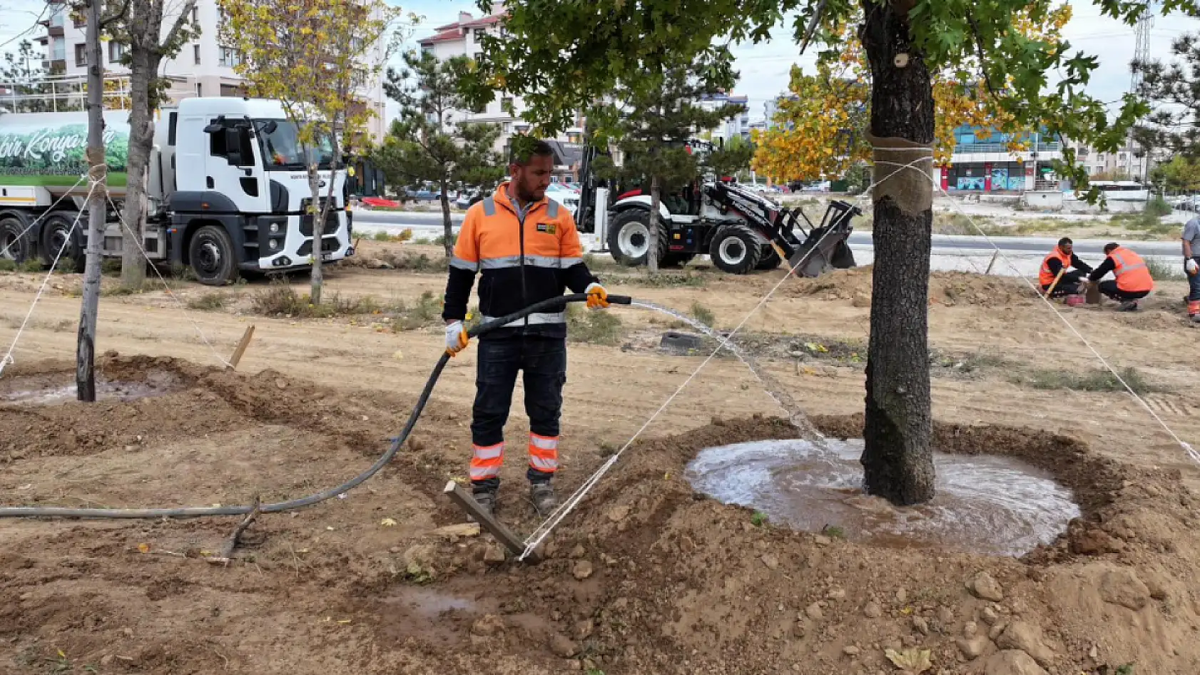 Konya'da sökülen ağaçlar yeniden hayat buluyor: 'Doğaya ve yeşile duyarlı davranıyoruz'