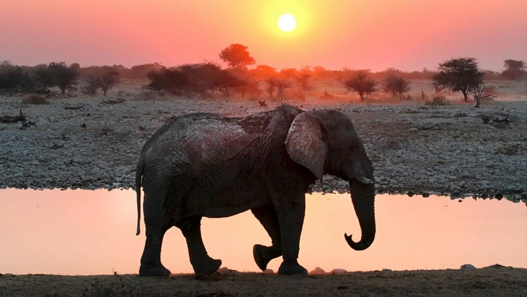 2025'te Türk vatandaşlarının vizesiz seyahat edebileceği ülkeler: Güncel liste ve seyahat süreleri
