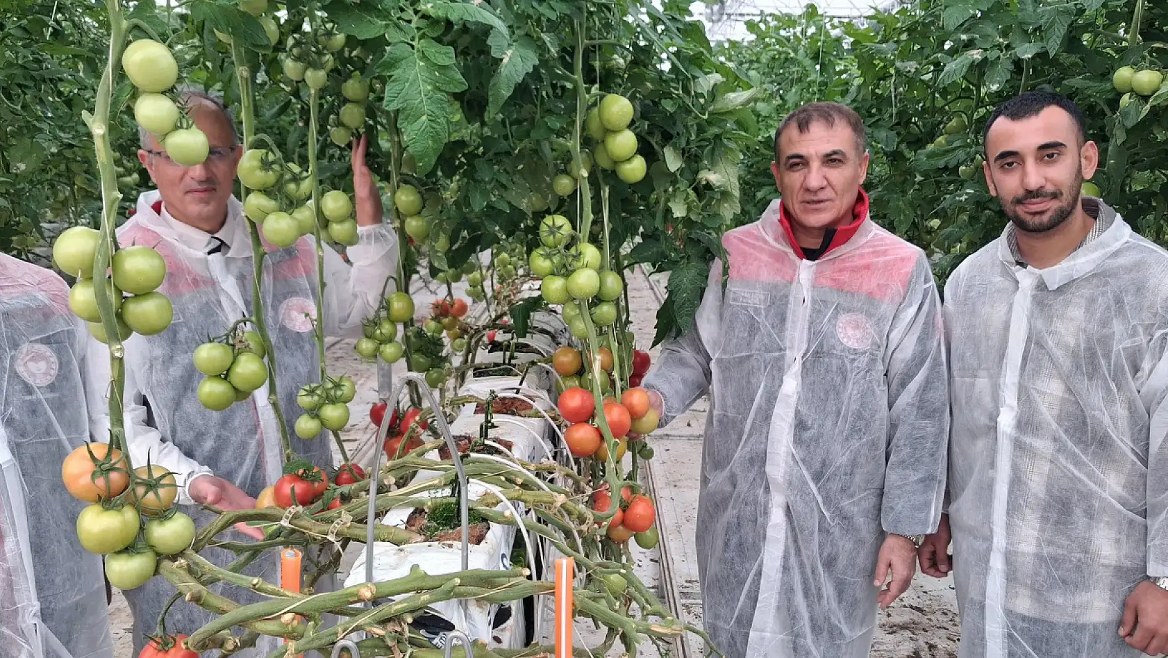 Konya'da modern tarım rüzgarı: Meram'da 25 bin metrekarelik dev sera