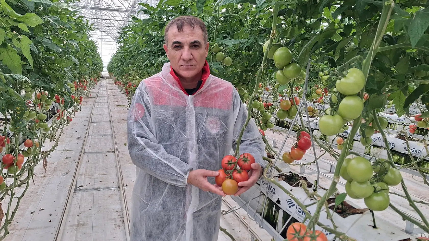 Konya'da modern tarım rüzgarı: Meram'da 25 bin metrekarelik dev sera