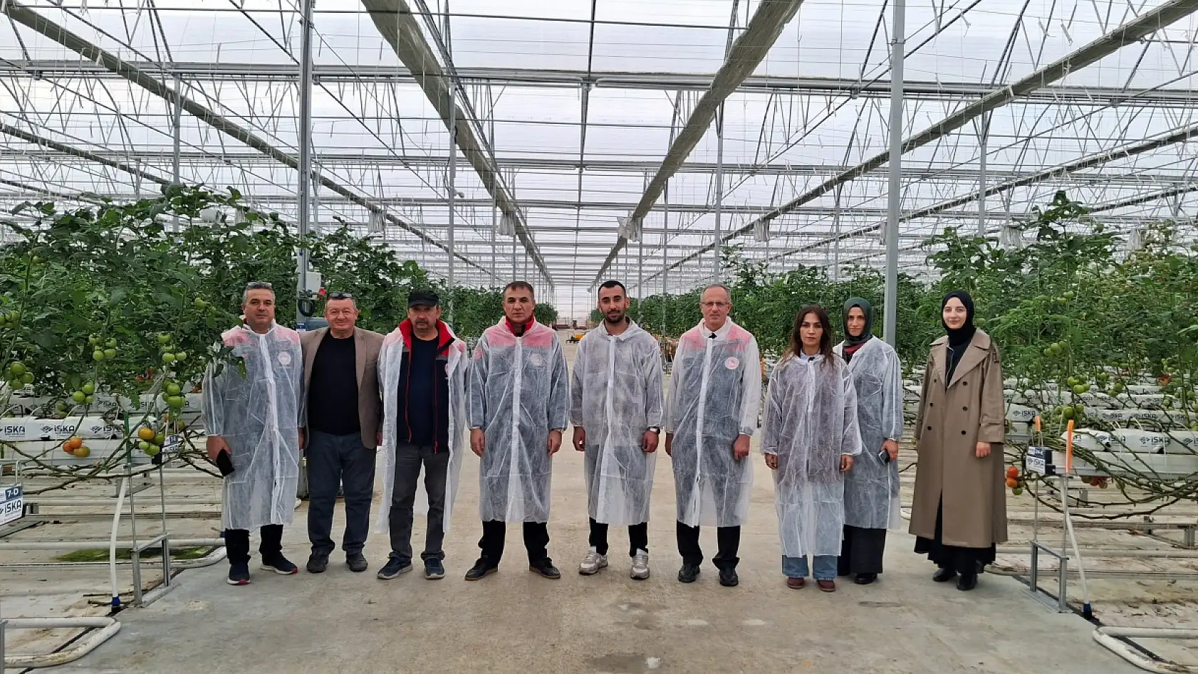 Konya'da modern tarım rüzgarı: Meram'da 25 bin metrekarelik dev sera