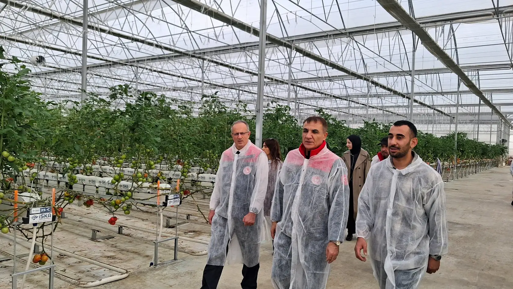 Konya'da modern tarım rüzgarı: Meram'da 25 bin metrekarelik dev sera