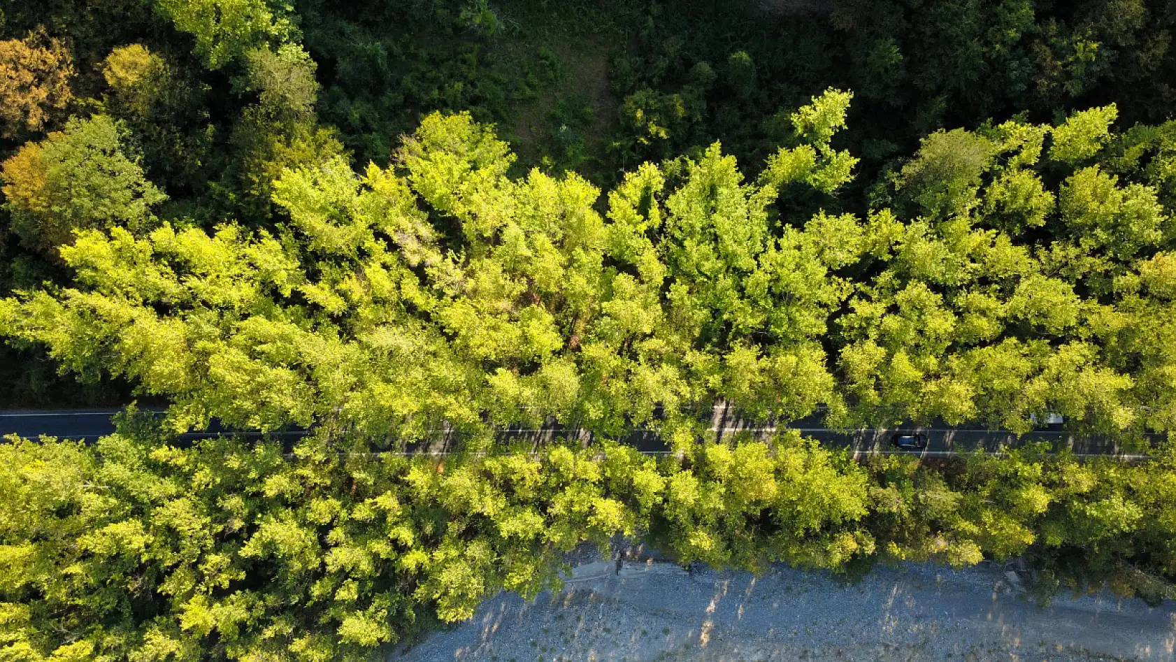 Bu manzara görenleri kendine hayran bırakıyor: Yolculuk daha keyifli hale geliyor!