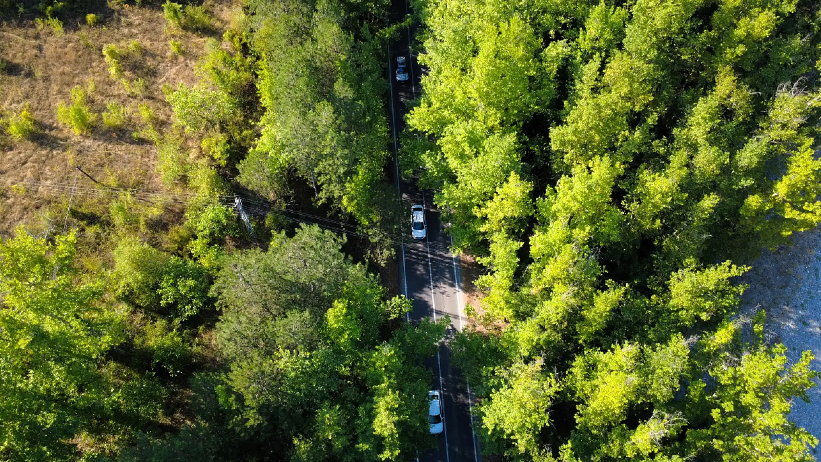 Bu manzara görenleri kendine hayran bırakıyor: Yolculuk daha keyifli hale geliyor!
