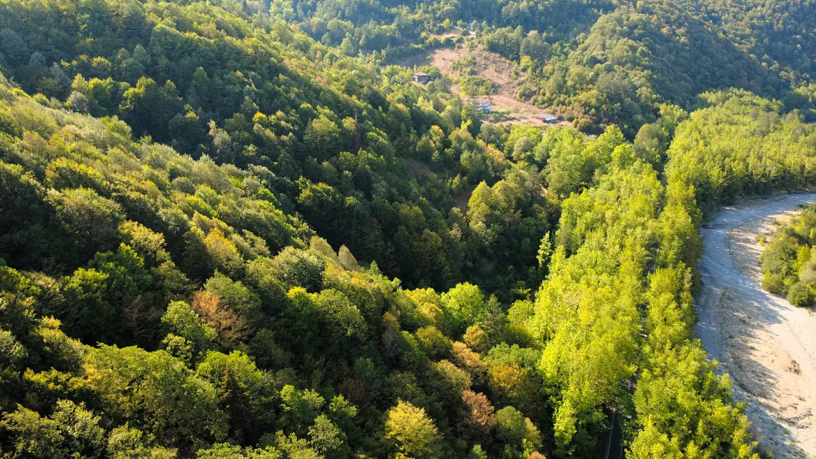 Bu manzara görenleri kendine hayran bırakıyor: Yolculuk daha keyifli hale geliyor!