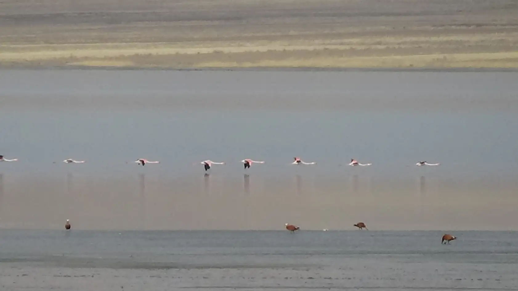 Göçmen misafirler konaklama sürelerini uzattı!
