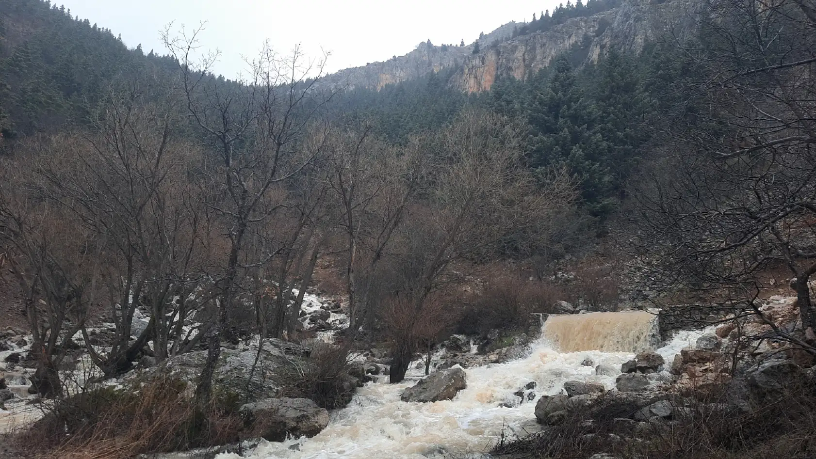 Konya'da erken bahar sevinci: Yağışlar kaynağı bir ay önce coşturdu