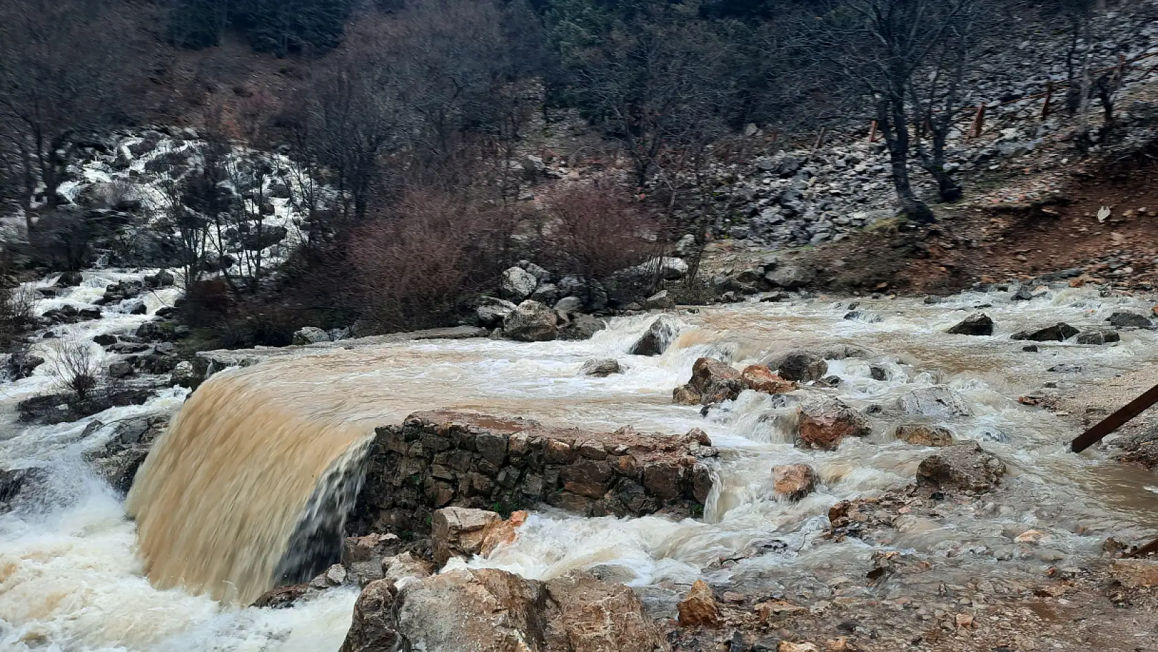 Konya'da erken bahar sevinci: Yağışlar kaynağı bir ay önce coşturdu