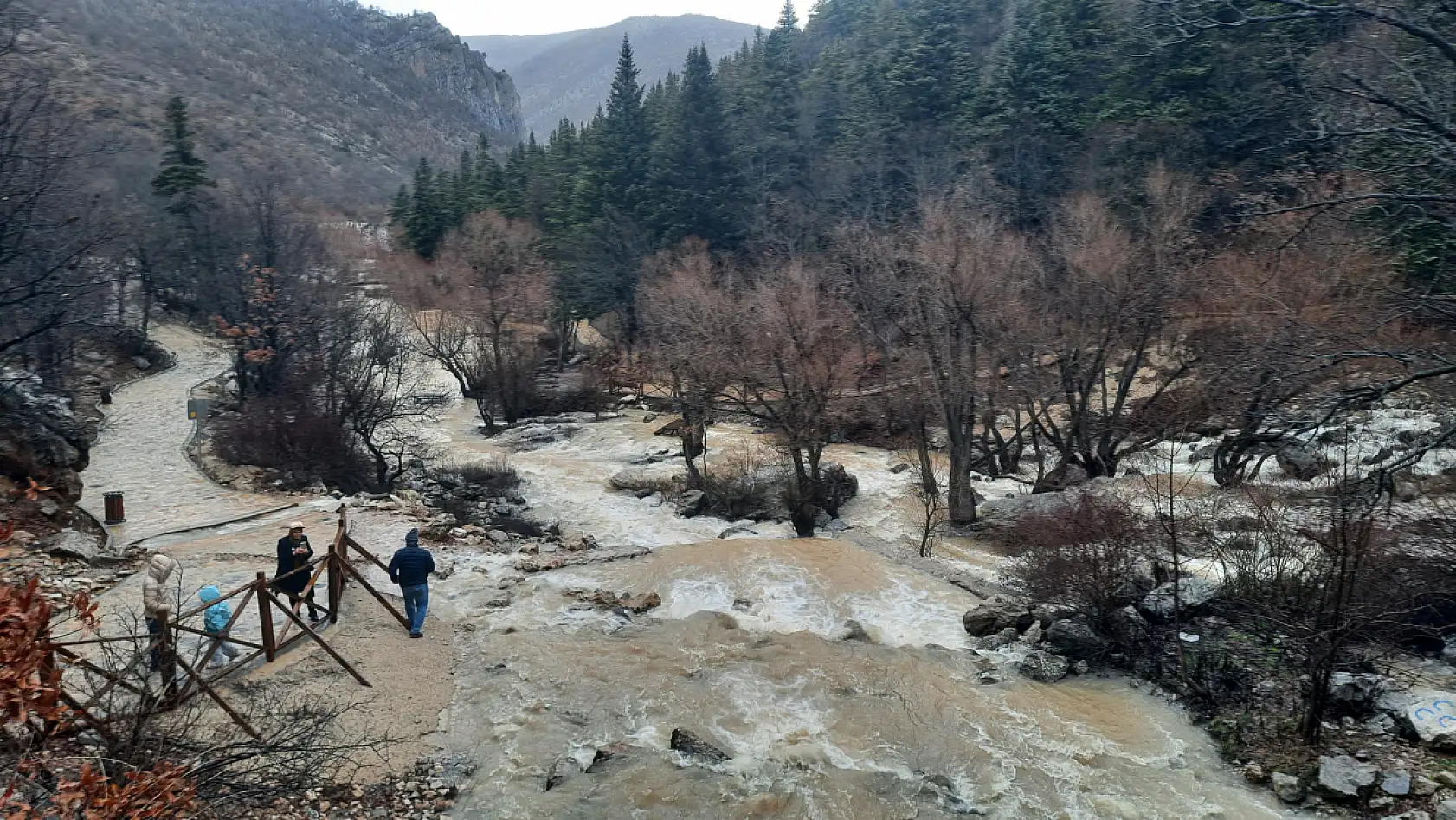 Konya'da erken bahar sevinci: Yağışlar kaynağı bir ay önce coşturdu