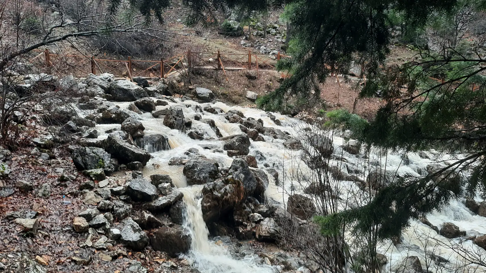 Konya'da erken bahar sevinci: Yağışlar kaynağı bir ay önce coşturdu
