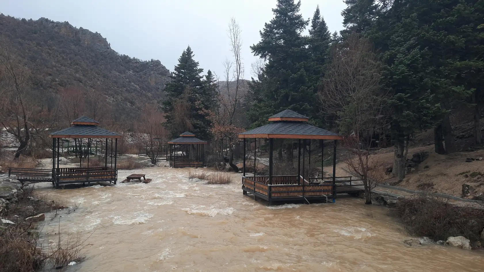 Konya'da erken bahar sevinci: Yağışlar kaynağı bir ay önce coşturdu