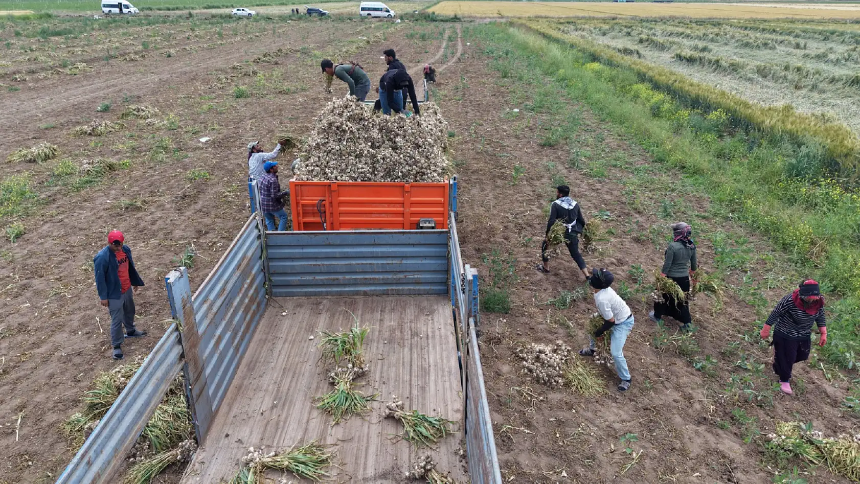Evlilik hayali başlık parasına takıldı!