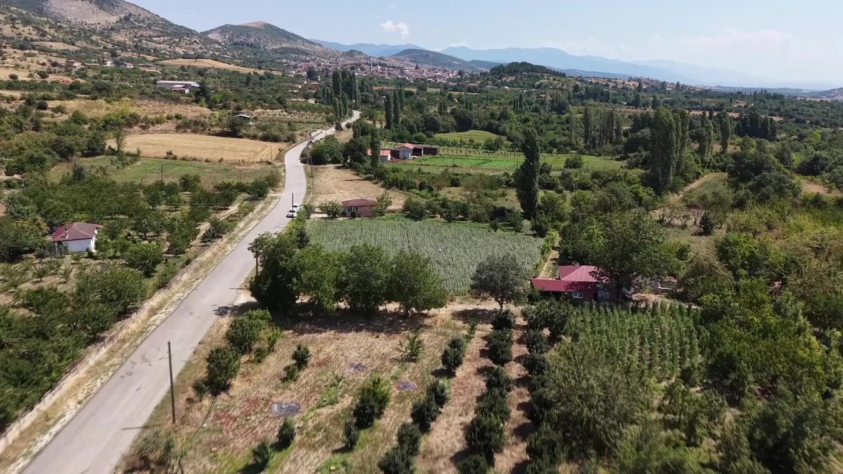 Amasya'nın altını Konya'da sofraları süslüyor