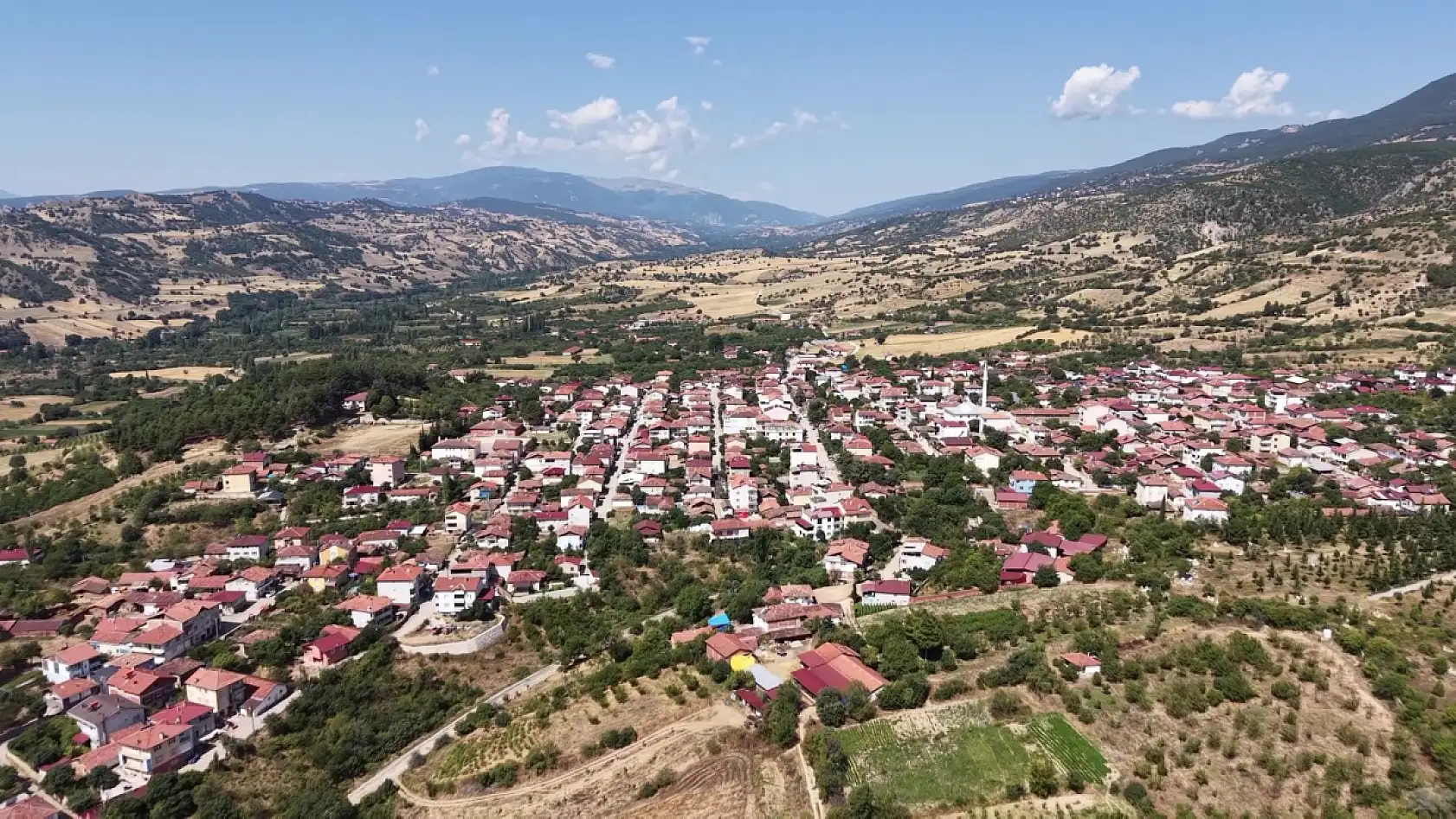 Amasya'nın altını Konya'da sofraları süslüyor