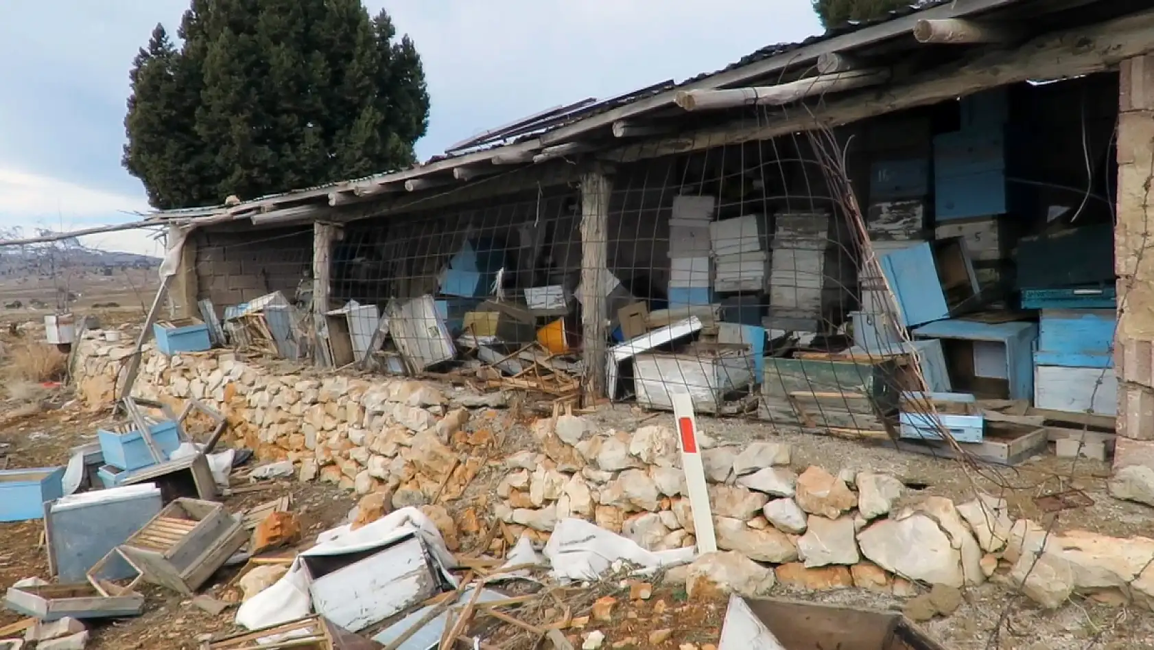 Konya'da ayı istilası! Atalık hanaylara giren ayı, kara kovan balını talan etti