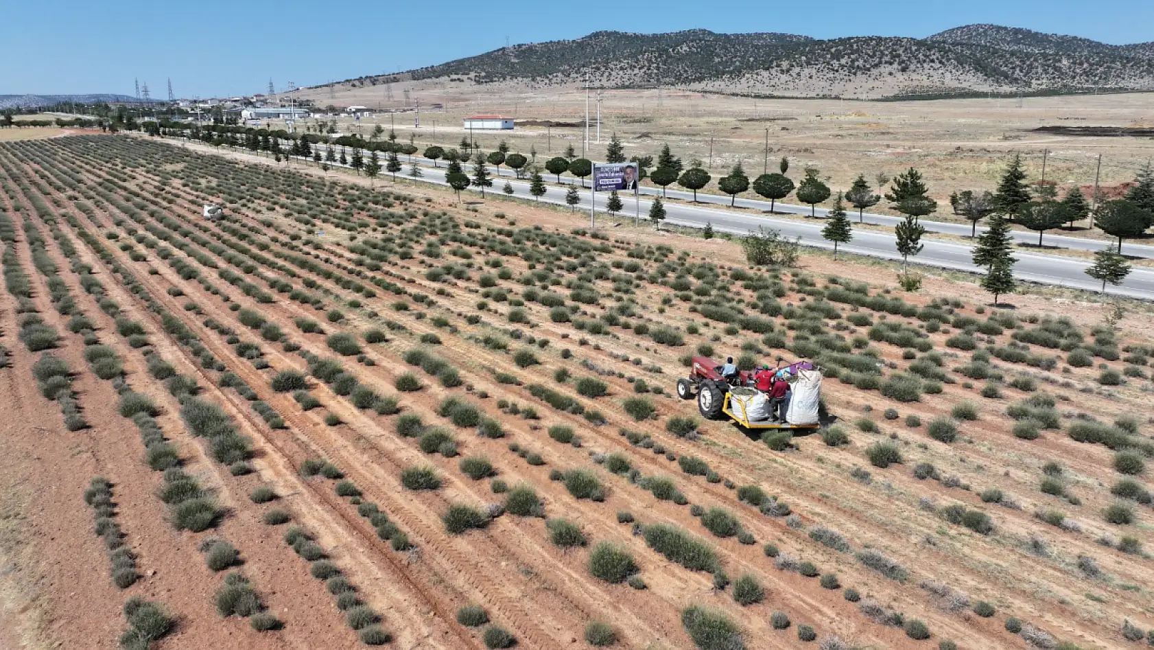 31 ilçede başvurular başlıyor! Konya'da çiftçiye yüzde 75 hibe