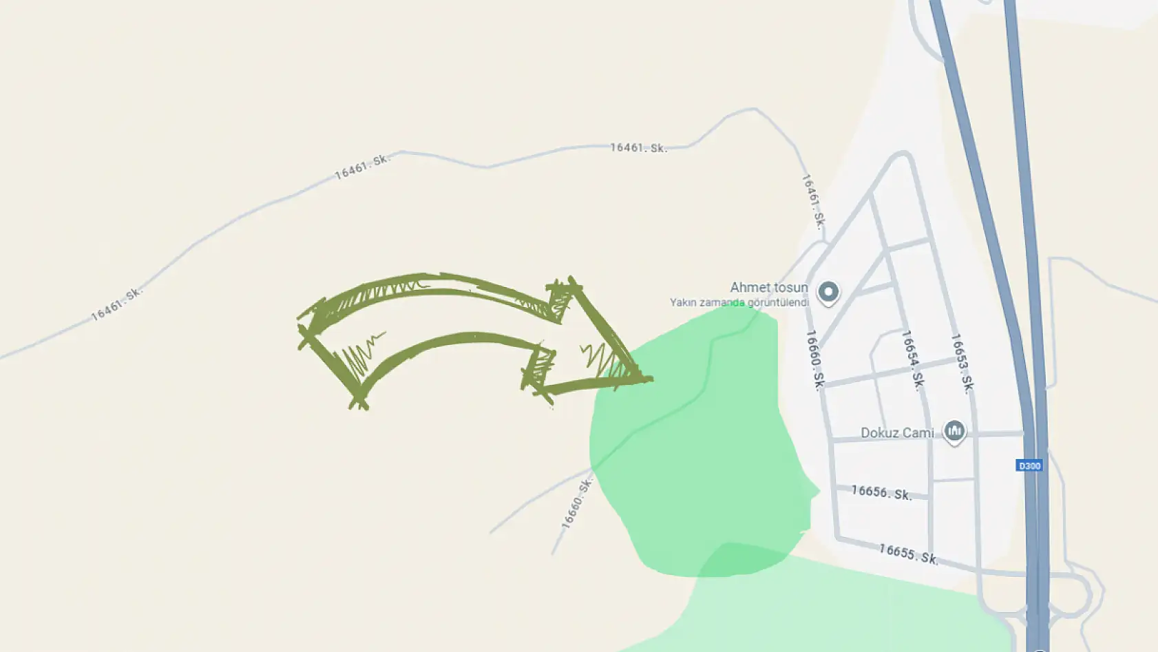 Konya'nın Dibine Karbonu Yutacak Orman Yapılıyor