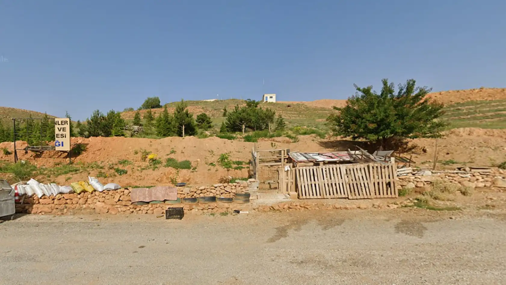 Konya'nın Dibine Karbonu Yutacak Orman Yapılıyor