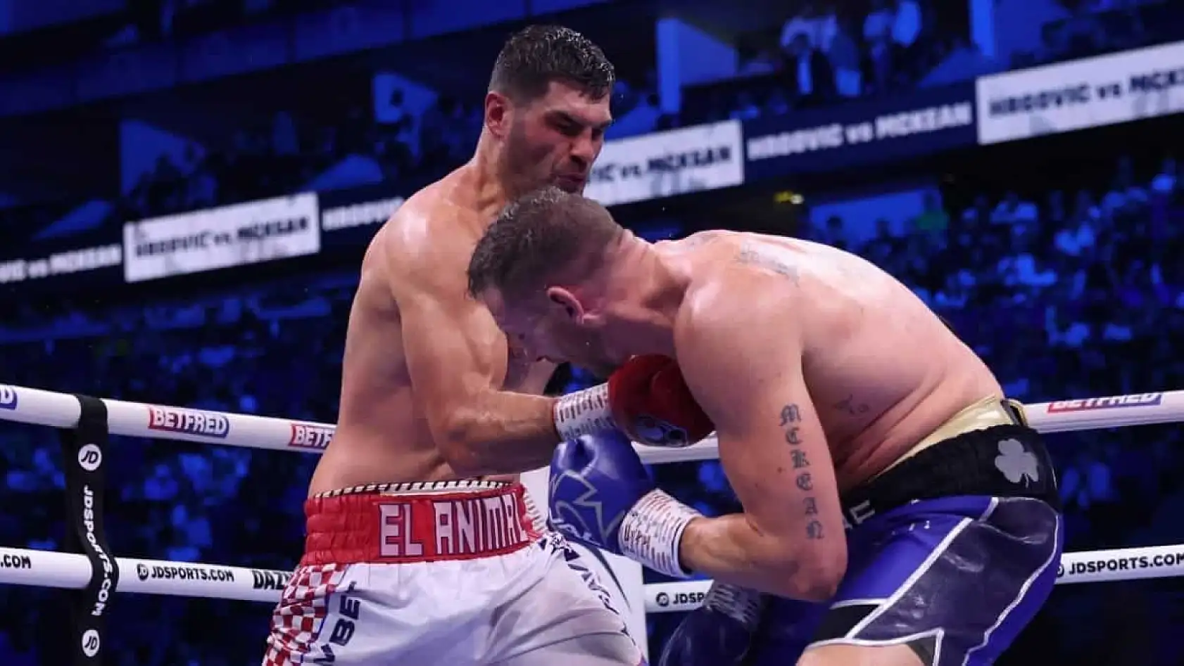 Filip Hrgovic. Dünya şampiyonunu yenebileceğini iddia etti!.. İşte detaylar…