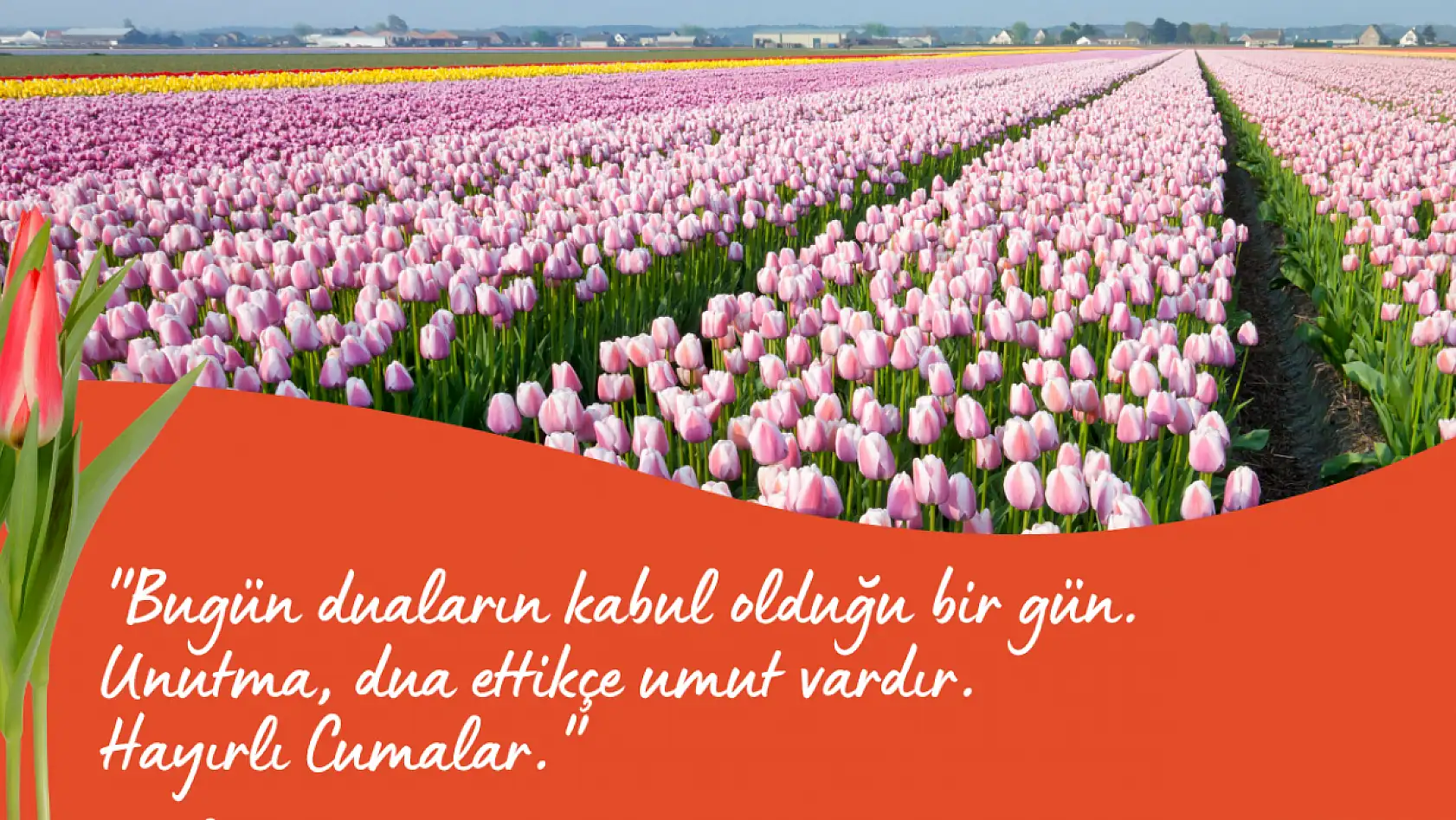 Resimli Cuma mesajları 2025: En güzel, farklı ve ayetli Cuma mesajları