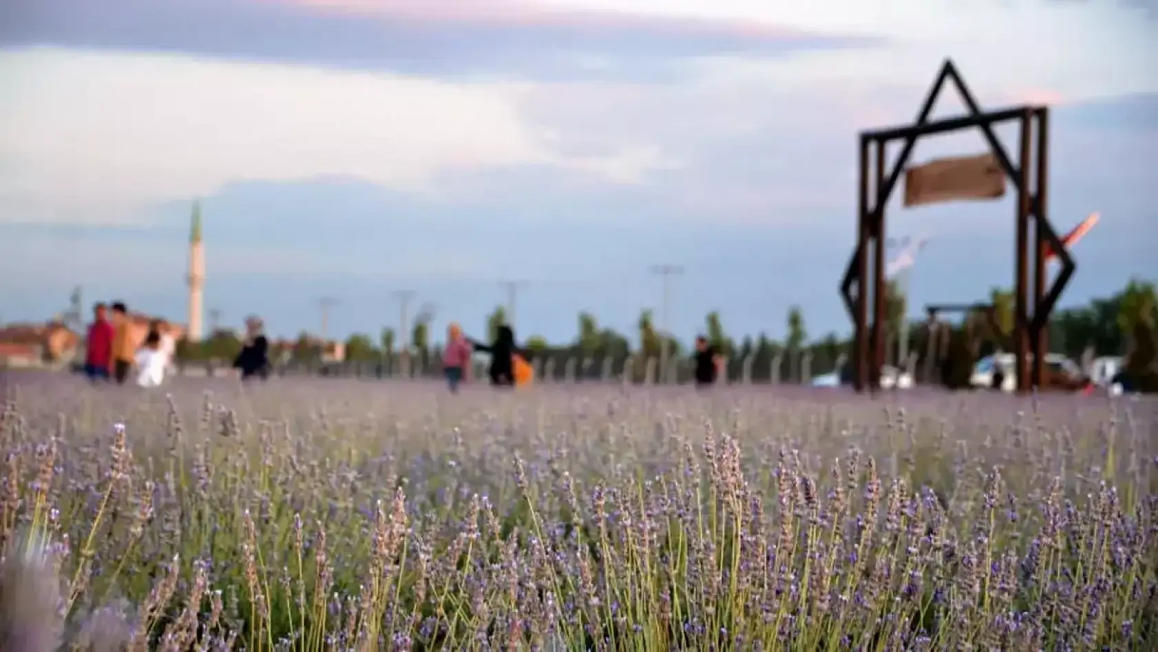 Karatay Lavanta Bahçesi ilgi odağı olmaya devam ediyor