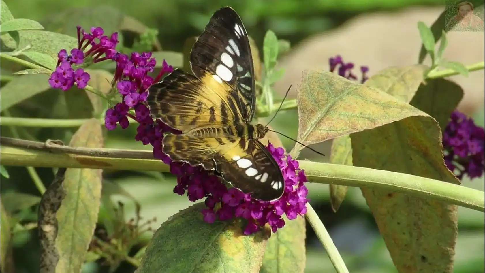 Konya'da bunlar da var mı? Yapay zekaya göre en şaşırtıcı 10 yer!