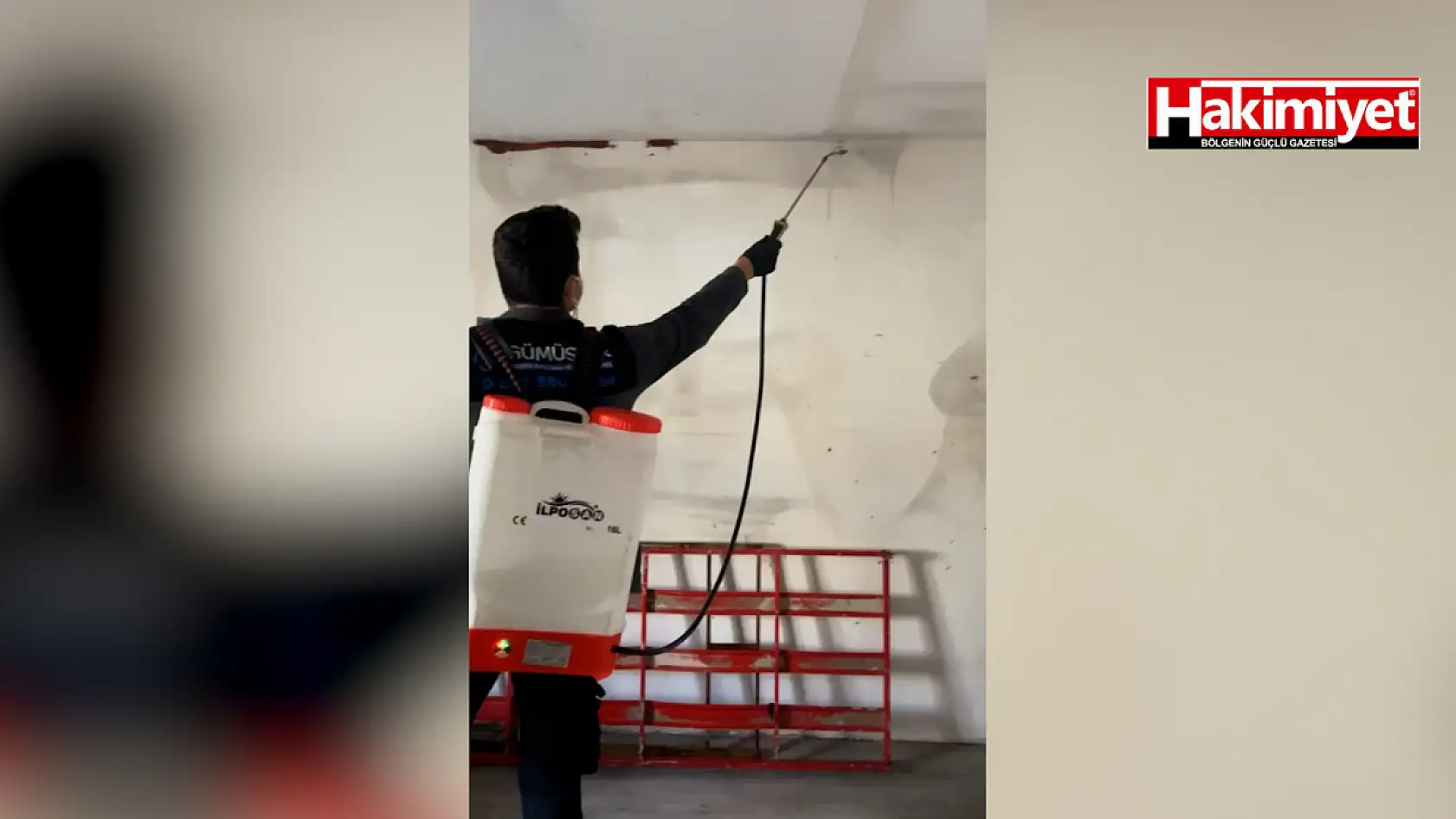 Uzman isim uyardı: Konya'da tahta kurusu şikayetleri arttı!