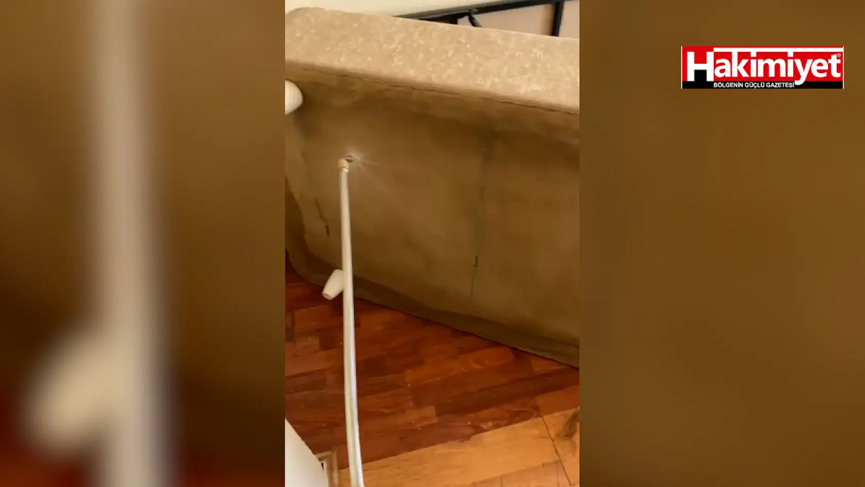 Uzman isim uyardı: Konya'da tahta kurusu şikayetleri arttı!