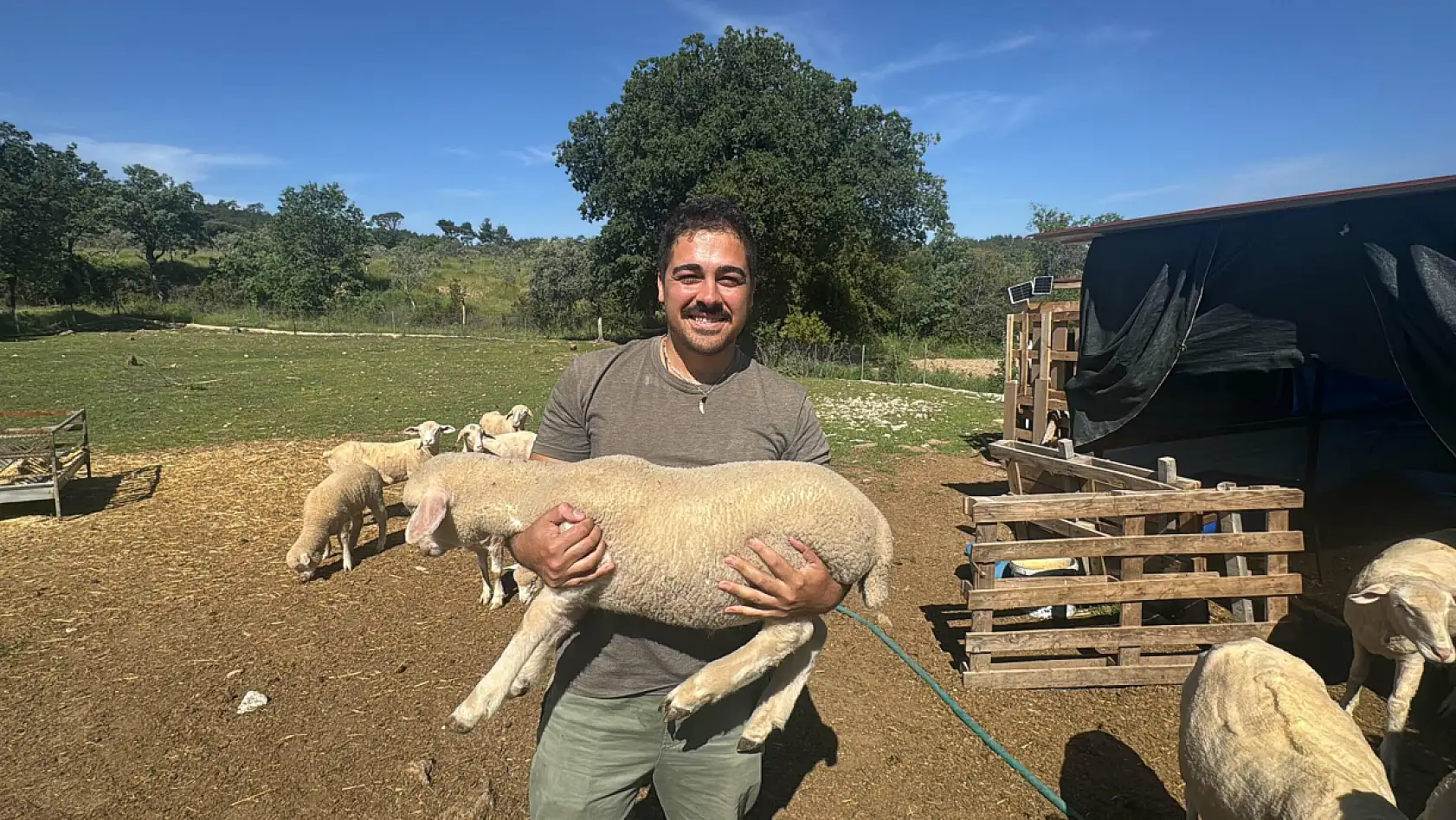 Şehirden kaçtı, huzuru kümeste buldu!