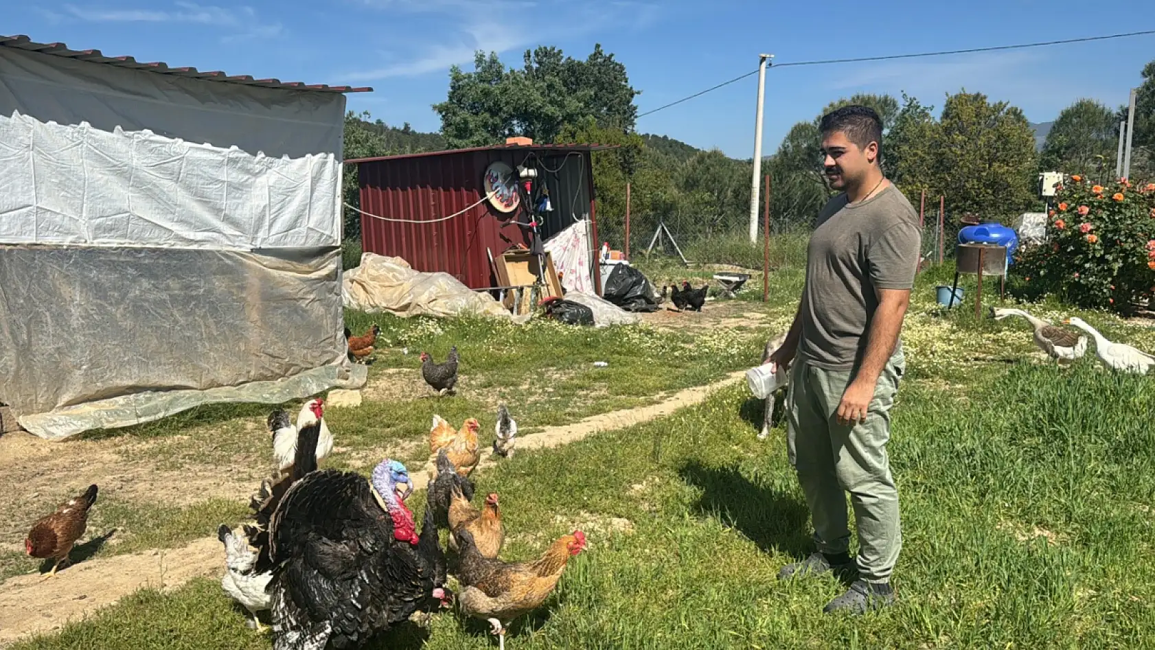 Şehirden kaçtı, huzuru kümeste buldu!