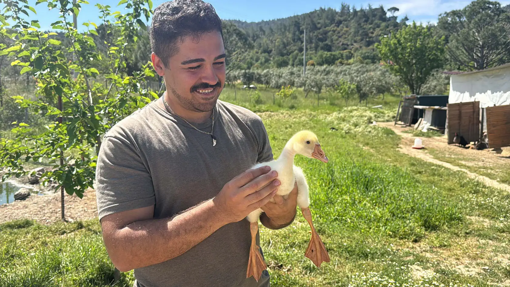 Şehirden kaçtı, huzuru kümeste buldu!