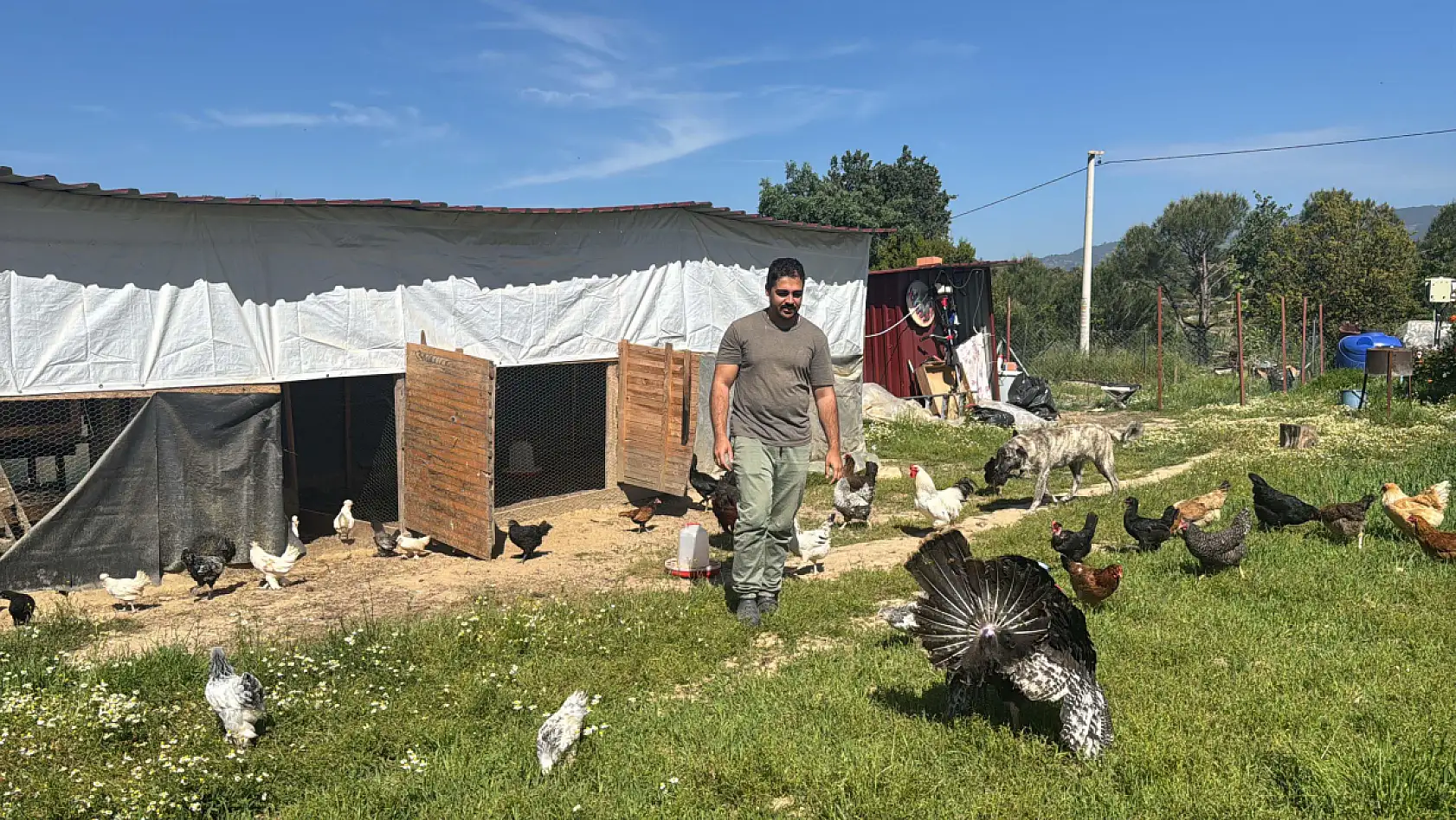 Şehirden kaçtı, huzuru kümeste buldu!
