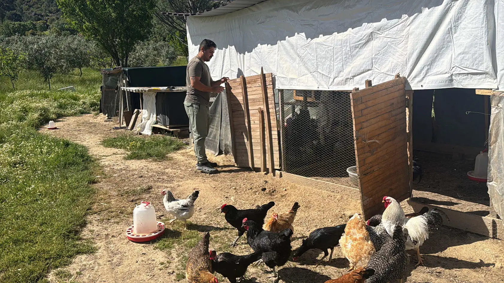 Şehirden kaçtı, huzuru kümeste buldu!