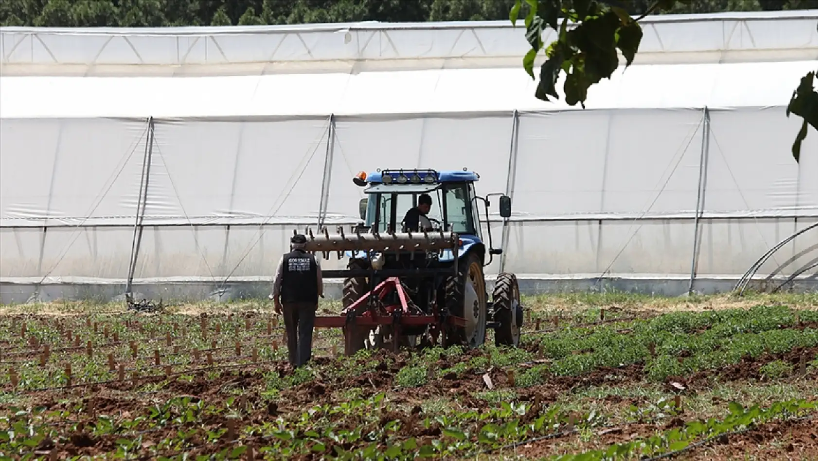 Üreticiye dev destek: Şartlar belli oldu!