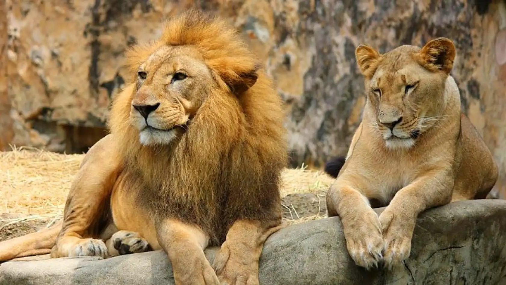 Antalya'da gezilecek en iyi 10 yer!