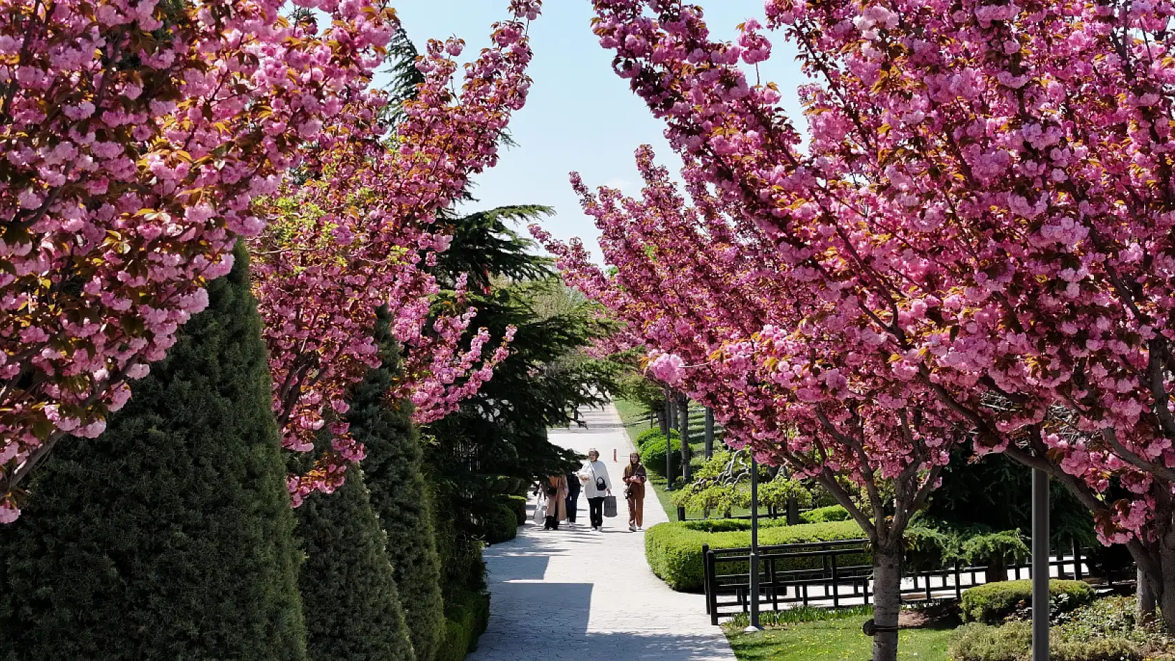 Konya mı, Kyoto mu? Kimse buranın İç Anadolu olduğuna inanmıyor!