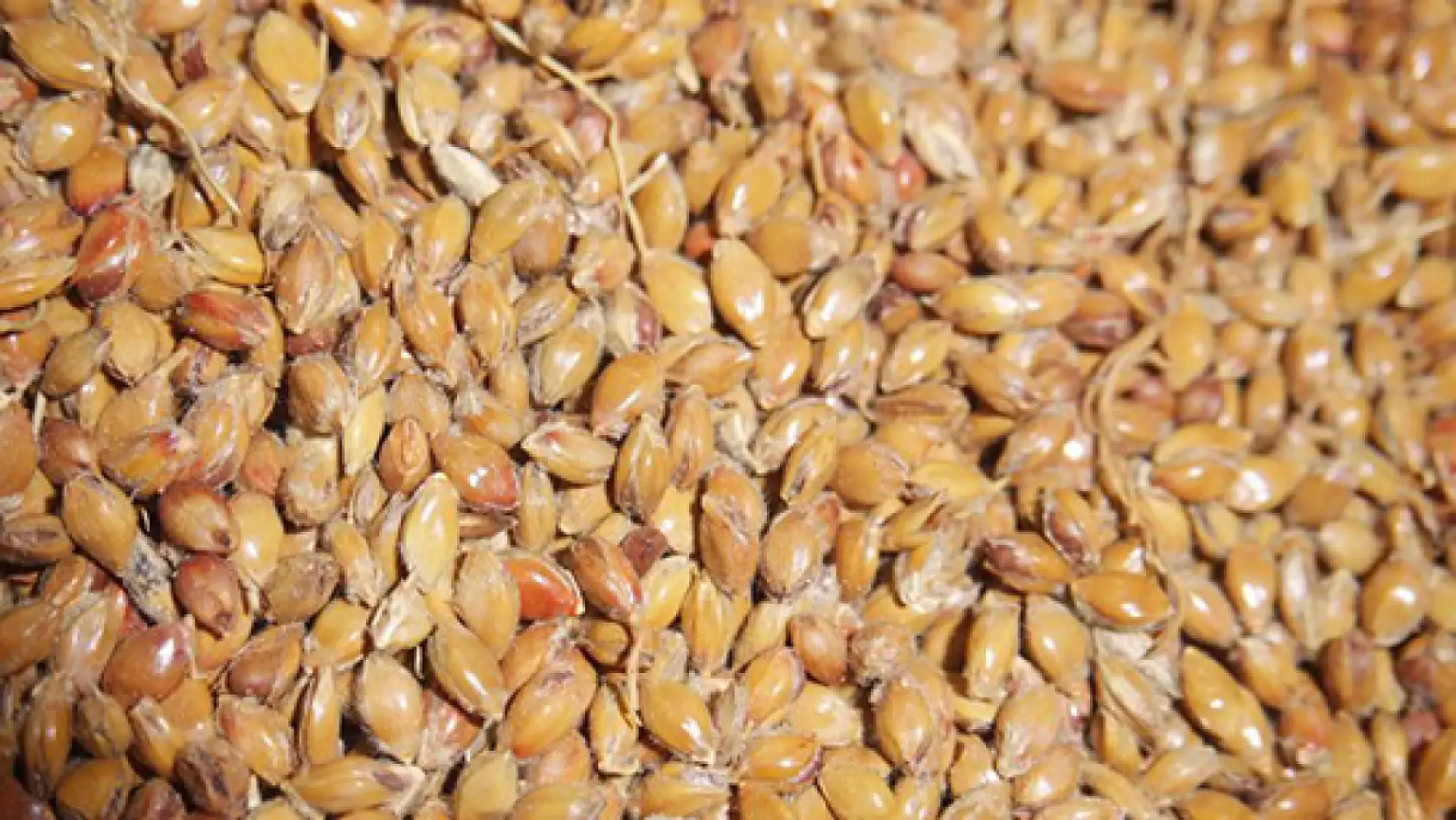 Karın ağrısı ve ishal sorunu yaşayanlar dikkat! Bu kür sayesinde şikayetlerinizden kurtulacaksınız…