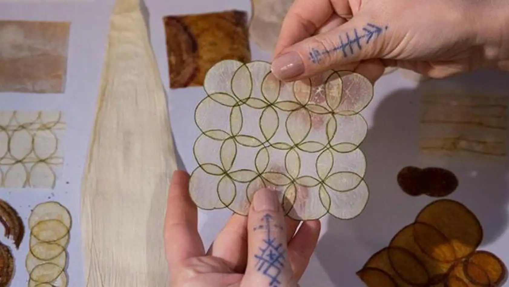 Çevre bilinci biyosanatla birleşti, organik maddeler sanat eserine dönüştü