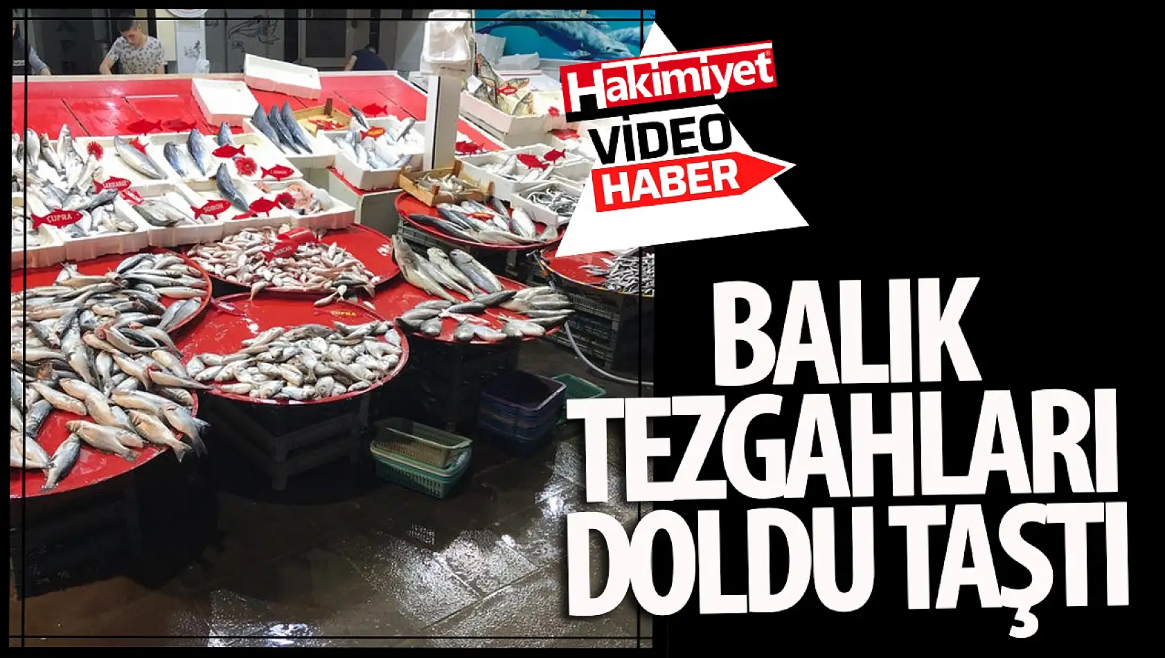 Av Yasağı Kalktı, Konya'da Tezgahlar Balıkla Dolup Taştı: Fiyatlar Düşebilir!